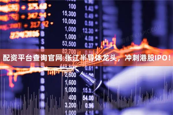 配资平台查询官网 张江半导体龙头，冲刺港股IPO！