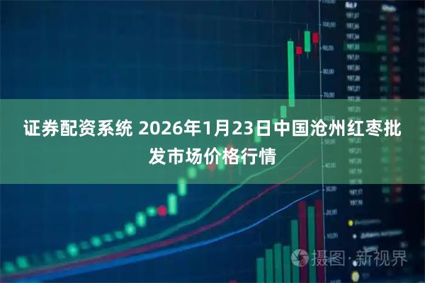 证券配资系统 2026年1月23日中国沧州红枣批发市场价格行情