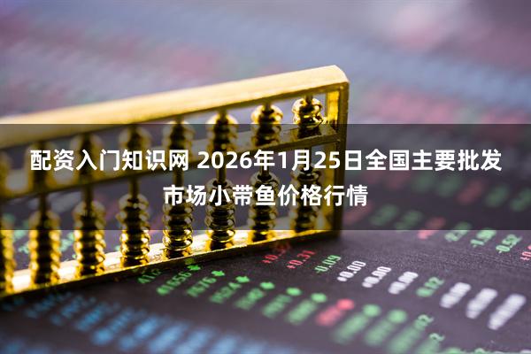 配资入门知识网 2026年1月25日全国主要批发市场小带鱼价格行情